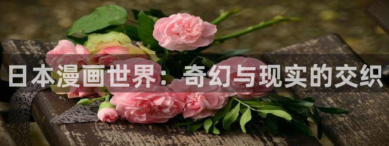 奇漫屋网站入口